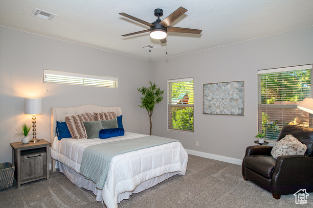 Photo 22 for MLS #2116930 at 2441 E Meadow Mist Way