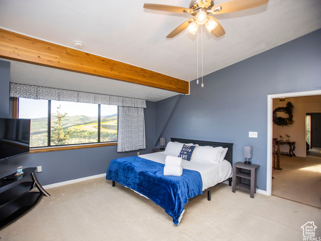 Photo 42 for MLS #2116938 at 588 W Raspberry Patch Rd