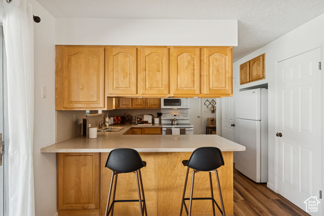 Photo 21 for MLS #2116969 at 2311 E Snow Mountain Dr