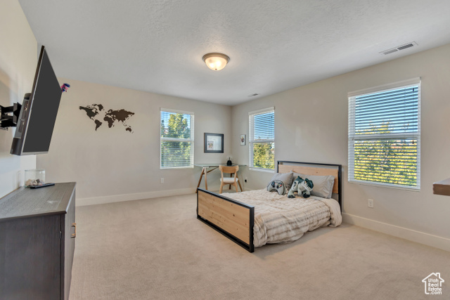 Photo 14 for MLS #2116980 at 4618 W Chenango Ln