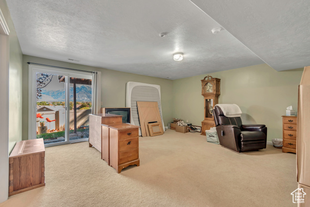 Photo 18 for MLS #2116988 at 6687 S Bonham Ln