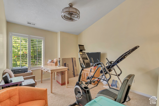 Photo 16 for MLS #2116988 at 6687 S Bonham Ln