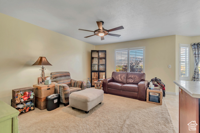 Photo 9 for MLS #2116988 at 6687 S Bonham Ln
