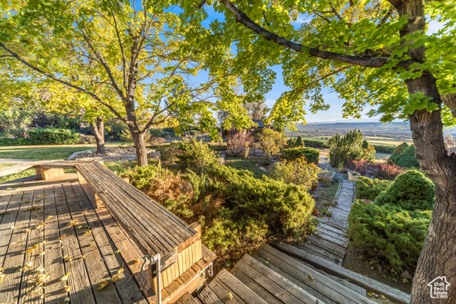 Photo 33 for MLS #2117001 at 2267 Sego Lily Dr