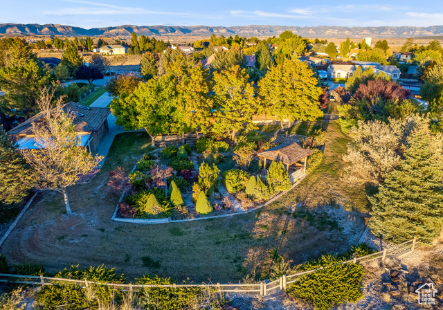 Photo 39 for MLS #2117001 at 2267 Sego Lily Dr