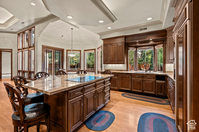 Photo 19 for MLS #2117018 at 83 N Bordeaux Ln