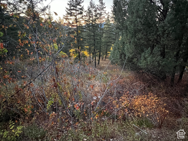 Photo 18 for MLS #2117100 at 8966 E Flying Hawk