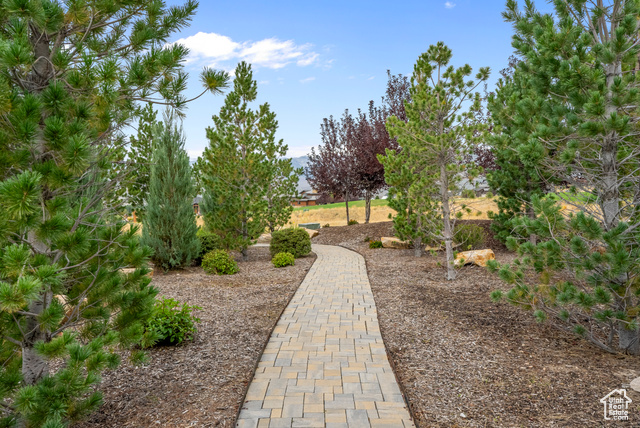 Photo 61 for MLS #2117148 at 676 N Chimney Rock Rd