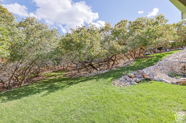 Photo 34 for MLS #2117161 at 569 Elk Loop
