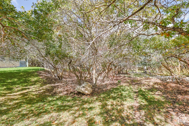Photo 32 for MLS #2117161 at 569 Elk Loop