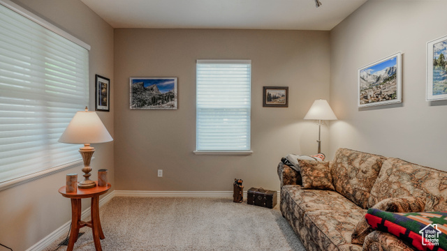 Photo 10 for MLS #2117188 at 11491 S Harvest Crest Way