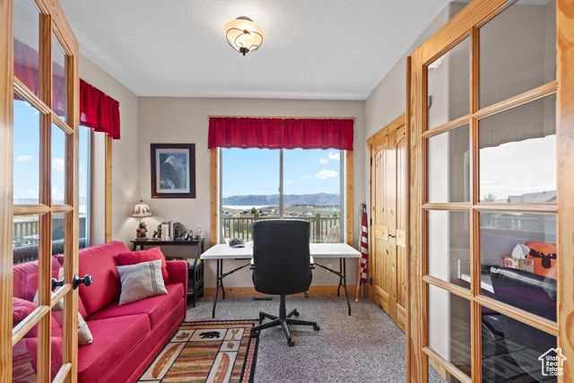 Photo 4 for MLS #2117197 at 278 W Caddy Cir