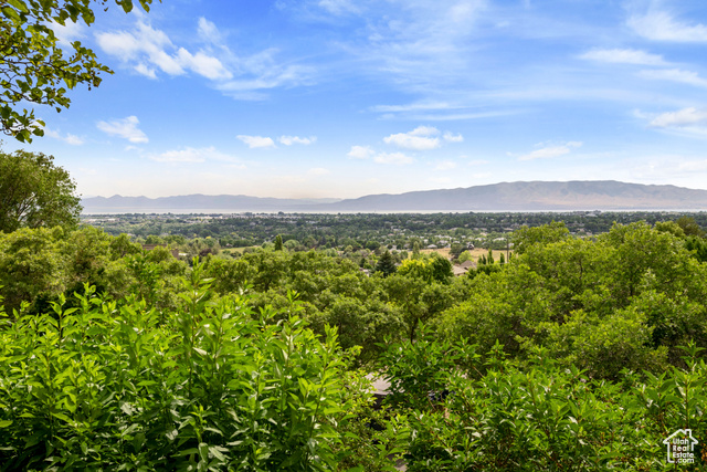 Photo 12 for MLS #2117239 at 4601 N Foothill Dr