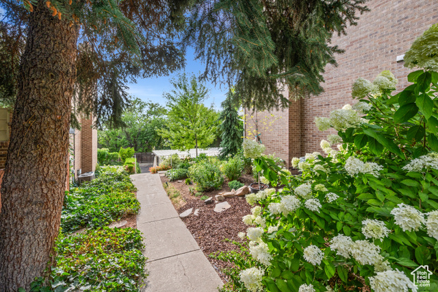 Photo 4 for MLS #2117254 at 3006 Casto Ln