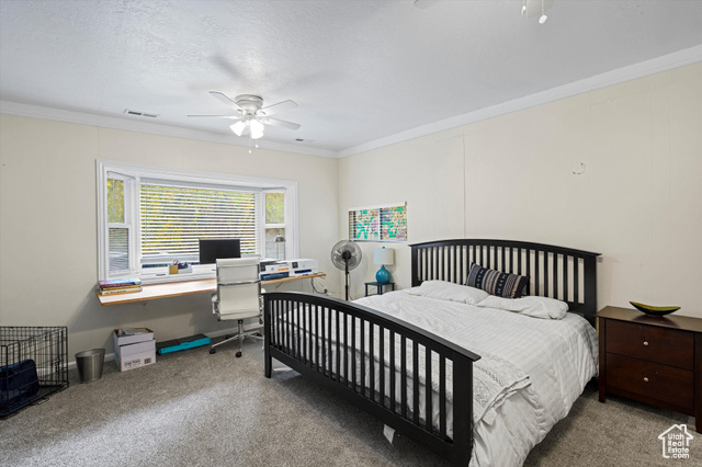 Photo 17 for MLS #2117287 at 342 Ogden Cyn