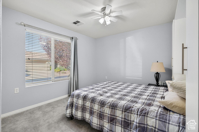Photo 26 for MLS #2117348 at 4167 S Airy Hill Dr