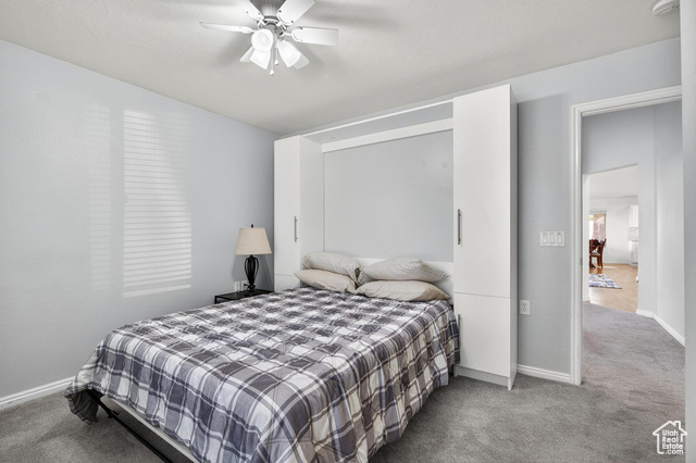 Photo 25 for MLS #2117348 at 4167 S Airy Hill Dr