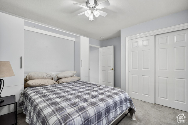Photo 24 for MLS #2117348 at 4167 S Airy Hill Dr