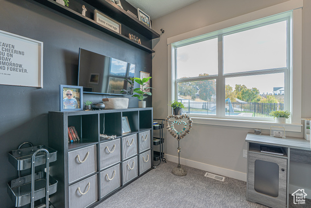 Photo 30 for MLS #2117364 at 781 W 85 South