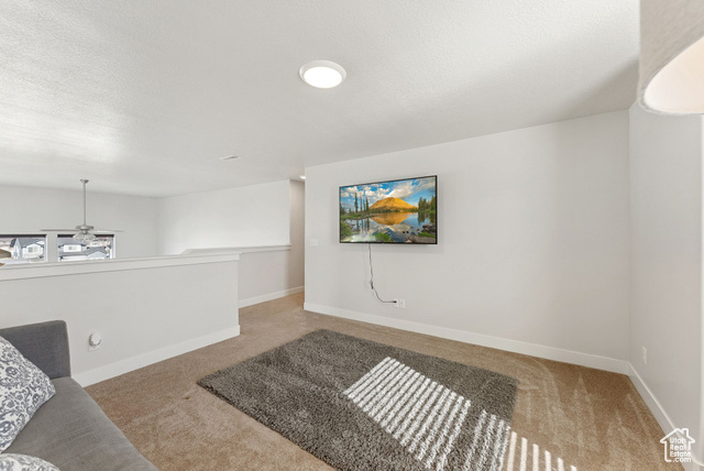 Photo 22 for MLS #2117460 at 499 N Stone Ridge Dr