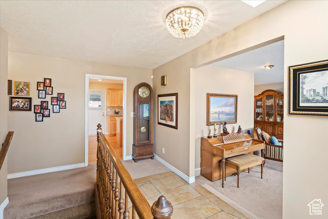 Photo 29 for MLS #2117481 at 8331 S Coolidge St