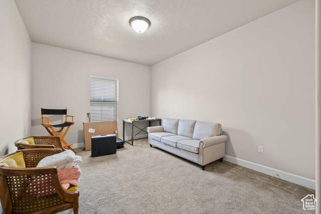 Photo 28 for MLS #2117488 at 1015 N 995 West
