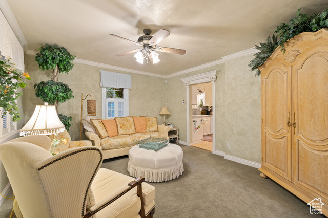 Photo 86 for MLS #2117501 at 2238 E Cottonwood Cove Ln
