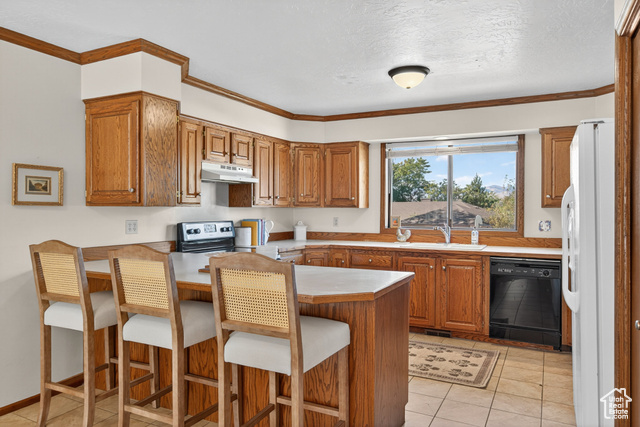 Photo 11 for MLS #2117503 at 5517 S White Springs Dr