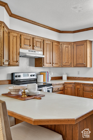 Photo 12 for MLS #2117503 at 5517 S White Springs Dr