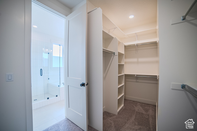 Photo 17 for MLS #2117520 at 10941 S Little Sahara Dr