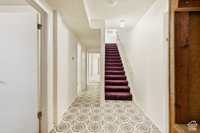 Photo 26 for MLS #2117544 at 995 S Cedar Knolls
