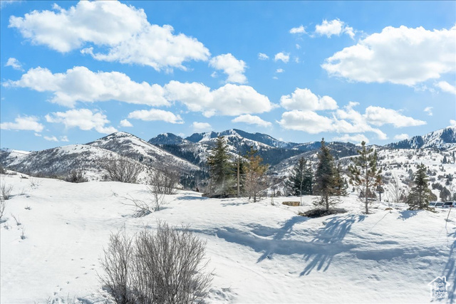 Photo 26 for MLS #2117555 at 3285 Lower Saddleback Rd #6A
