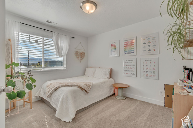 Photo 18 for MLS #2117572 at 3830 W 2330 North