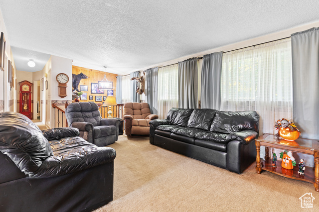 Photo 8 for MLS #2117581 at 4478 W Fassio Cir