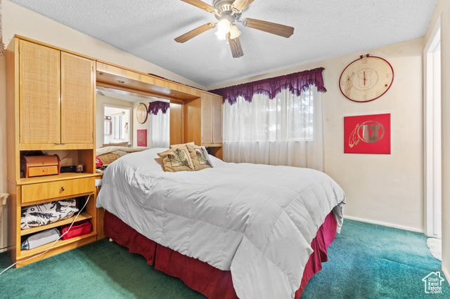 Photo 17 for MLS #2117581 at 4478 W Fassio Cir