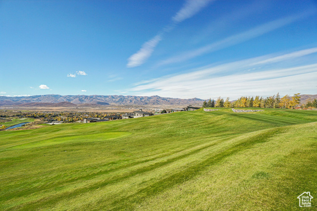 Photo 99 for MLS #2117601 at 2738 Longspur Ln
