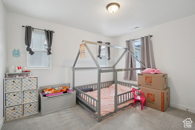 Photo 17 for MLS #2117612 at 7758 S Iron Core Ln