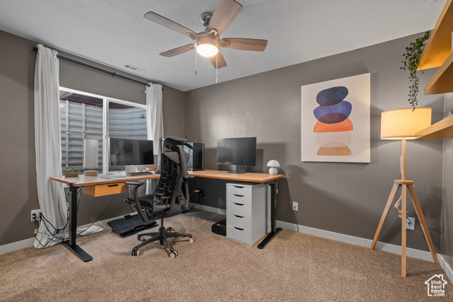 Photo 38 for MLS #2117619 at 7058 N Mountain Field Dr