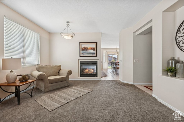 Photo 2 for MLS #2117688 at 3296 E Hidden Dr