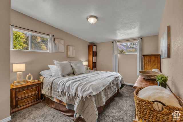 Photo 11 for MLS #2117728 at 621 E 925 North