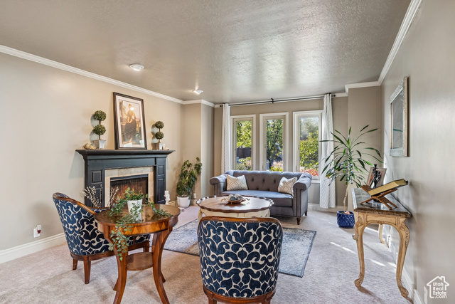 Photo 20 for MLS #2117771 at 2509 E Cobblestone Way