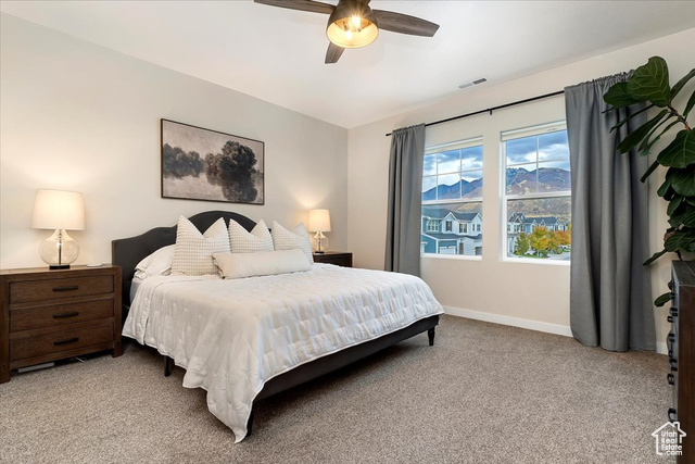 Photo 18 for MLS #2117825 at 13952 S Rockwell View Ln