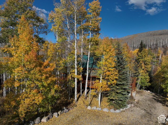 Photo 4 for MLS #2117827 at 4017 Elk Dr #1920