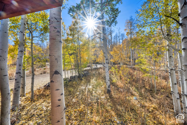 Photo 36 for MLS #2117827 at 4017 Elk Dr #1920