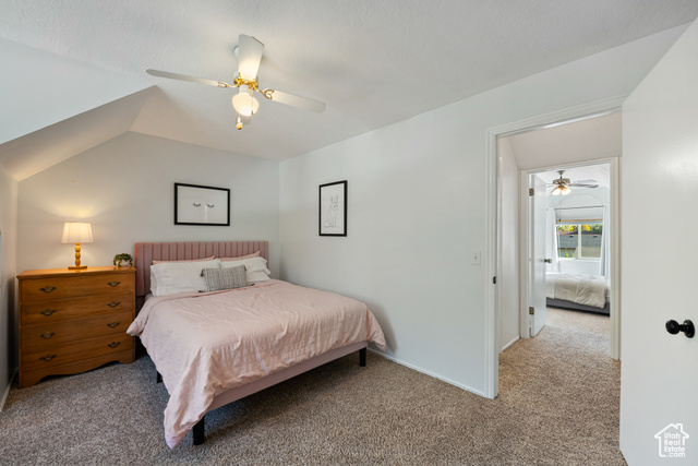 Photo 18 for MLS #2117832 at 381 E Park Creeke Ln