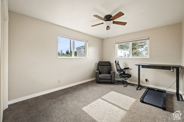 Photo 11 for MLS #2117833 at 1250 Jordan Ave
