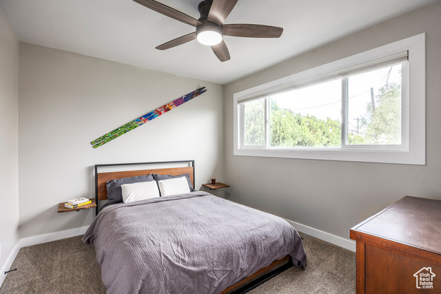 Photo 5 for MLS #2117849 at 9928 S Antimony Ln