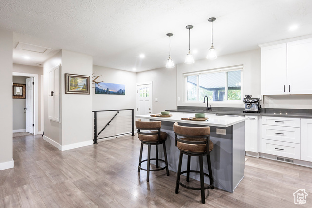 Photo 3 for MLS #2117849 at 9928 S Antimony Ln