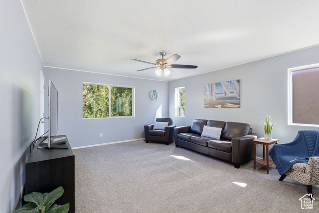 Photo 22 for MLS #2117859 at 1871 E Chimney Stone Ct