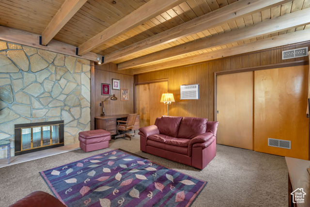 Photo 11 for MLS #2117864 at 5440 S Alpine Dr
